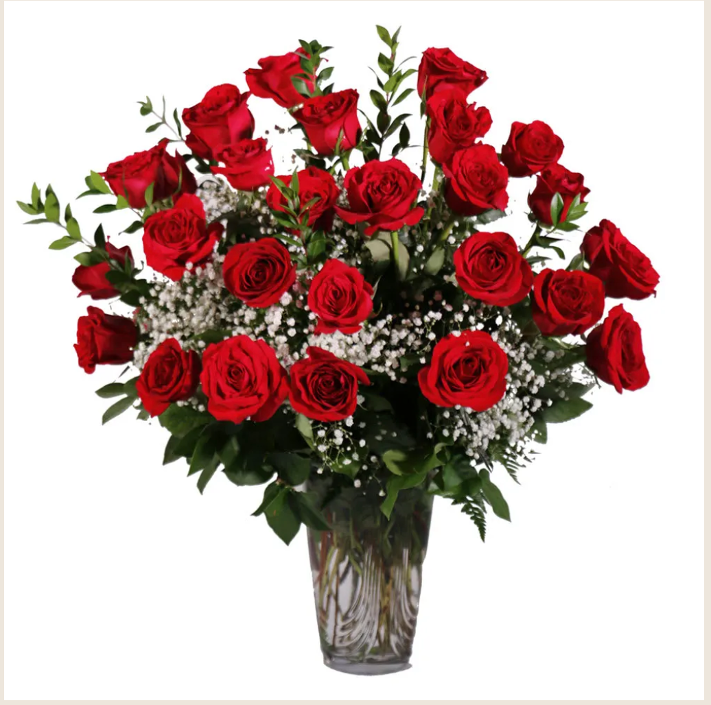 2Dozen Roses Phoebes Floristry