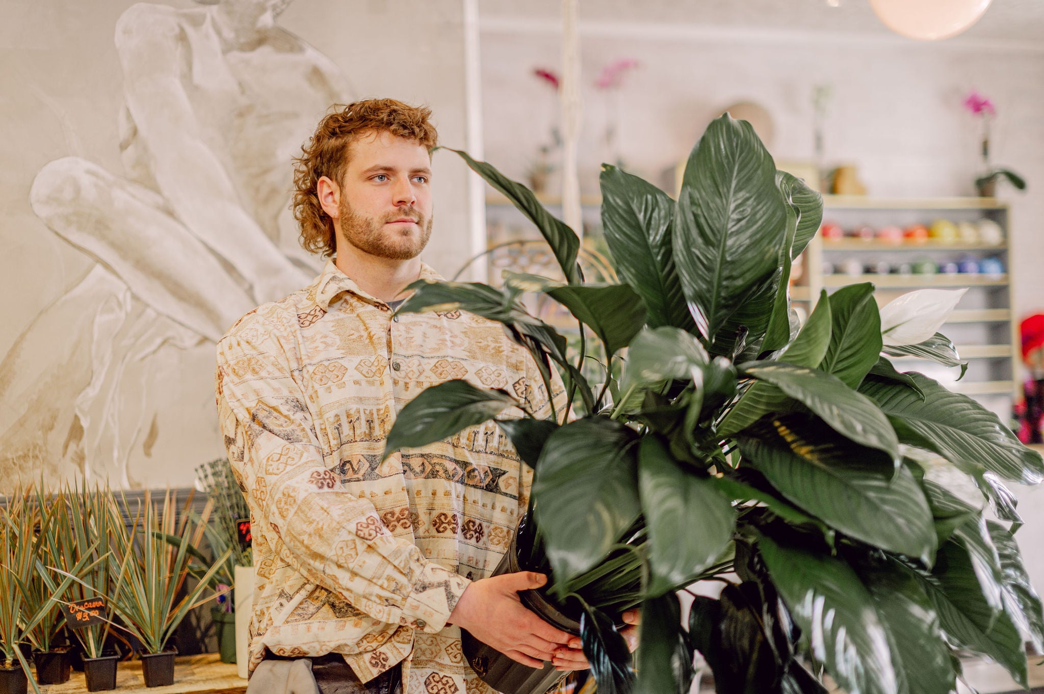 House Plants & Dish Gardens