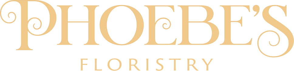 Phoebes